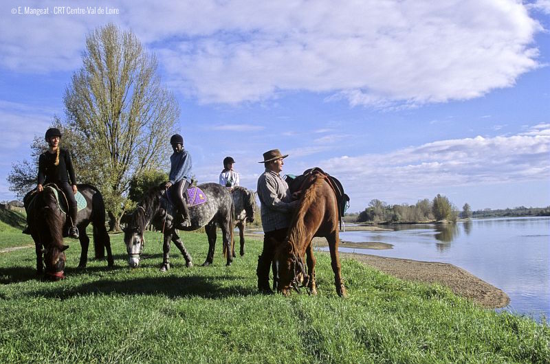 Nature tours-Loire Valley - Horse riding