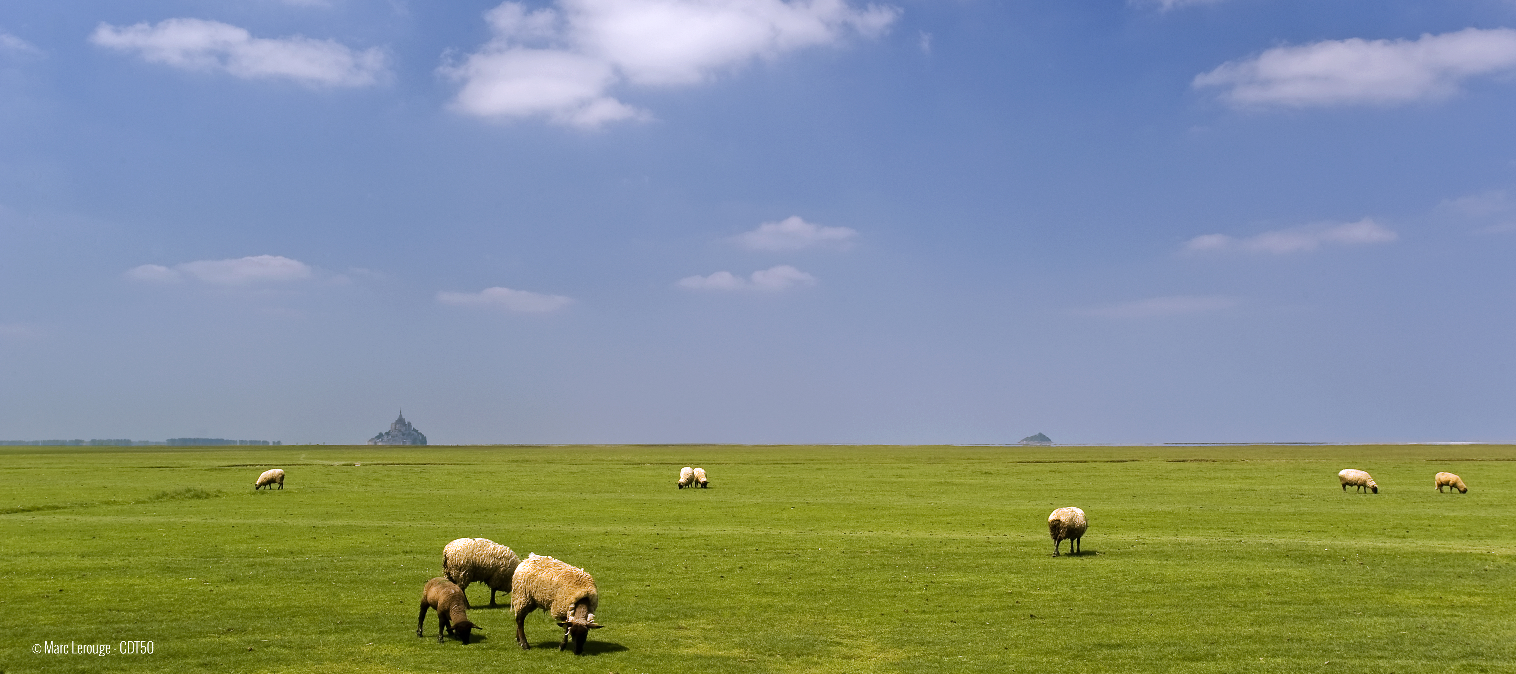 Nature tours - Normandy - Mont Saint Michel