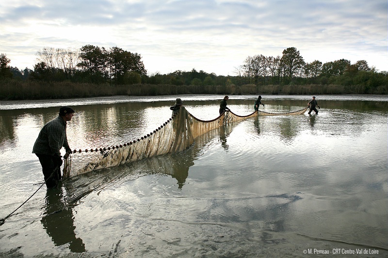 Nature tours - Loire Valley - Fishermen