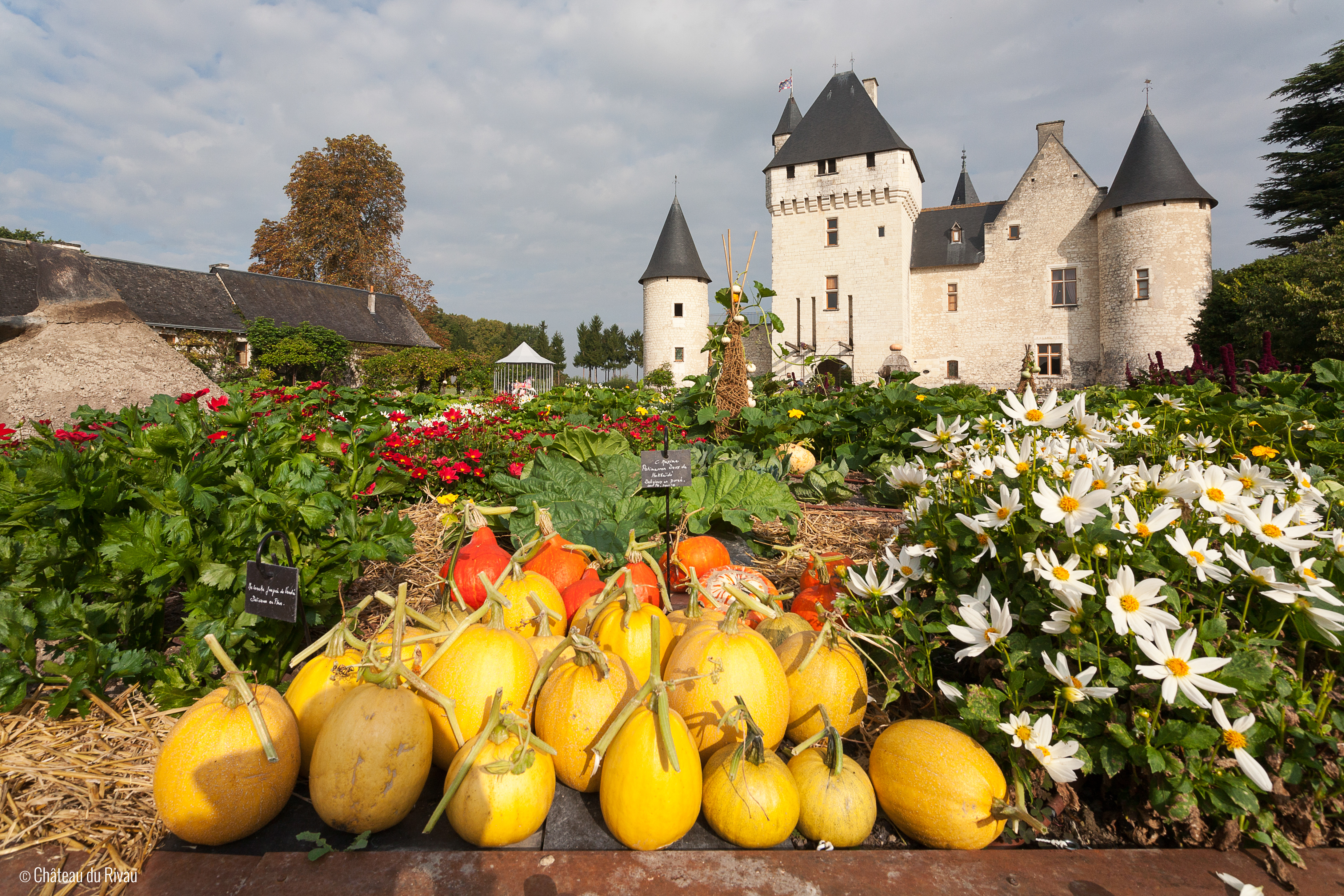 Cultural tours-Loire Valley castles-Rivau