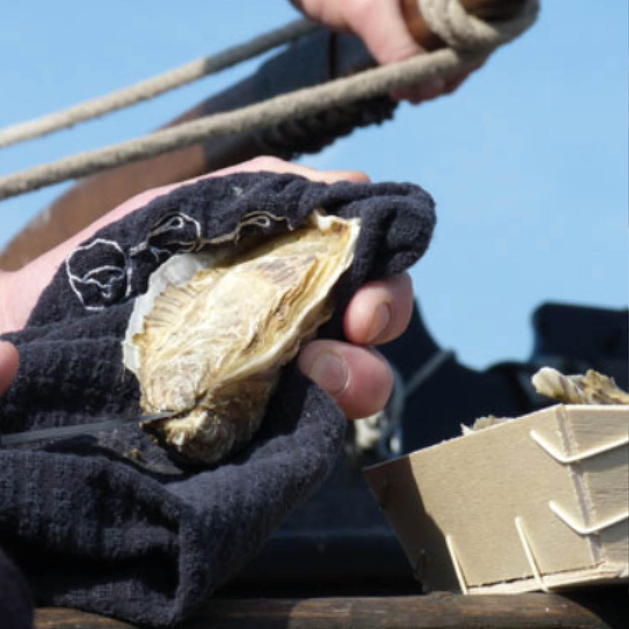 oyster cruise brittany mont saint michel croisiere