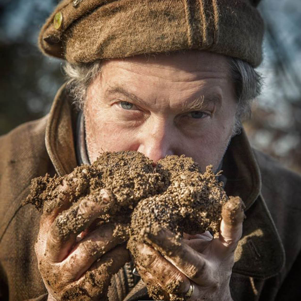 truffles hunting truffes