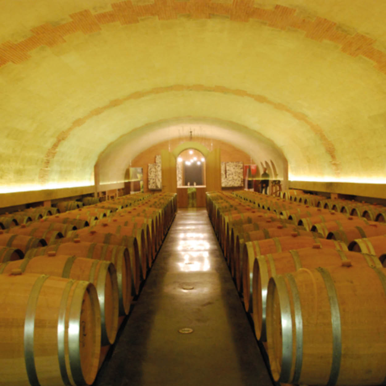 winery organic tour domaines viticoles biologiques unique loire valley