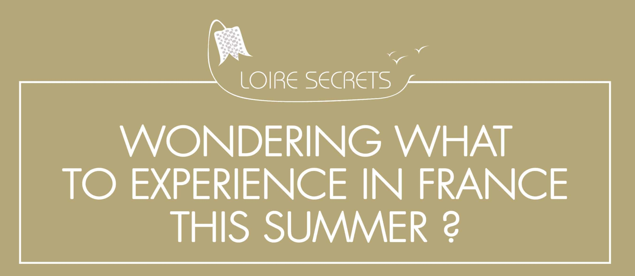 You are currently viewing Wondering what to experience in France this summer?
