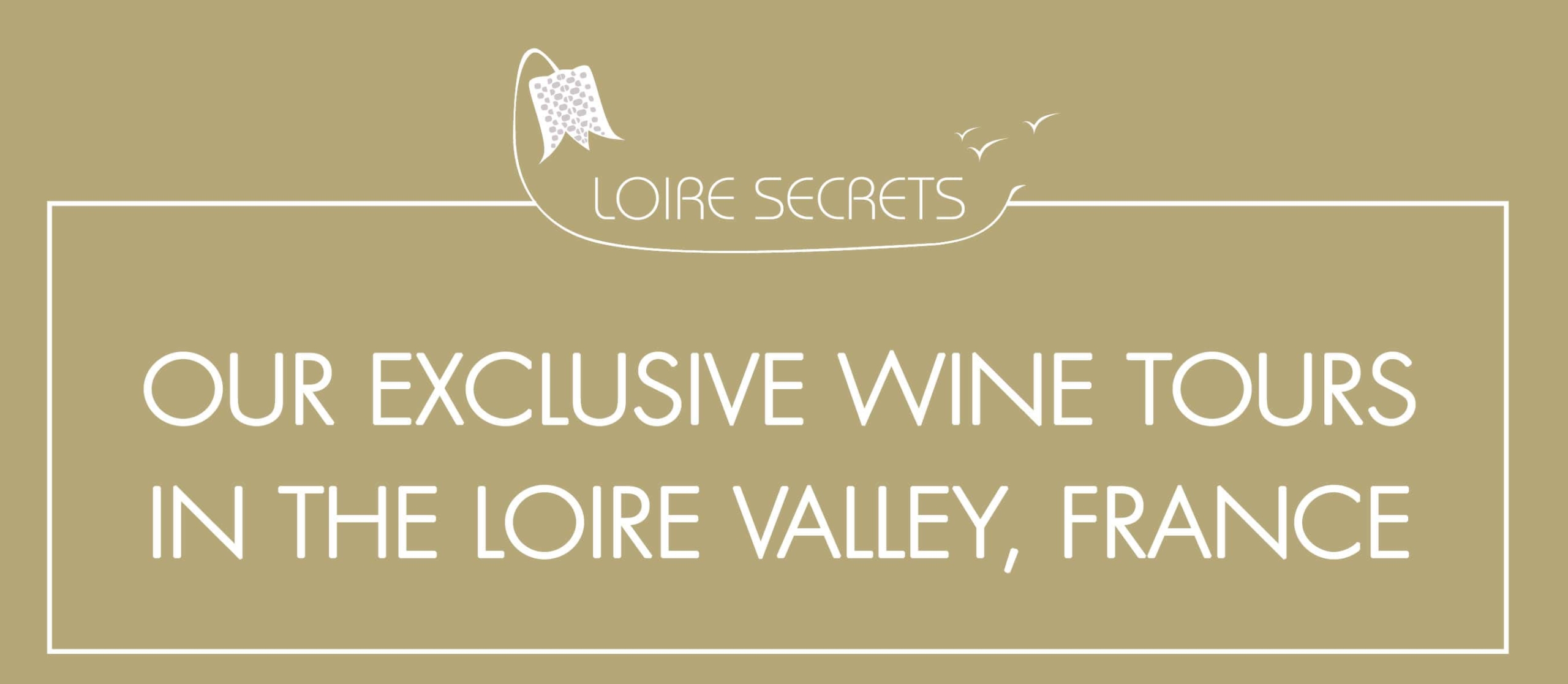 You are currently viewing Our exclusive wine tours in the Loire Valley, France